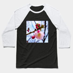 Photography - First sign of spring Baseball T-Shirt